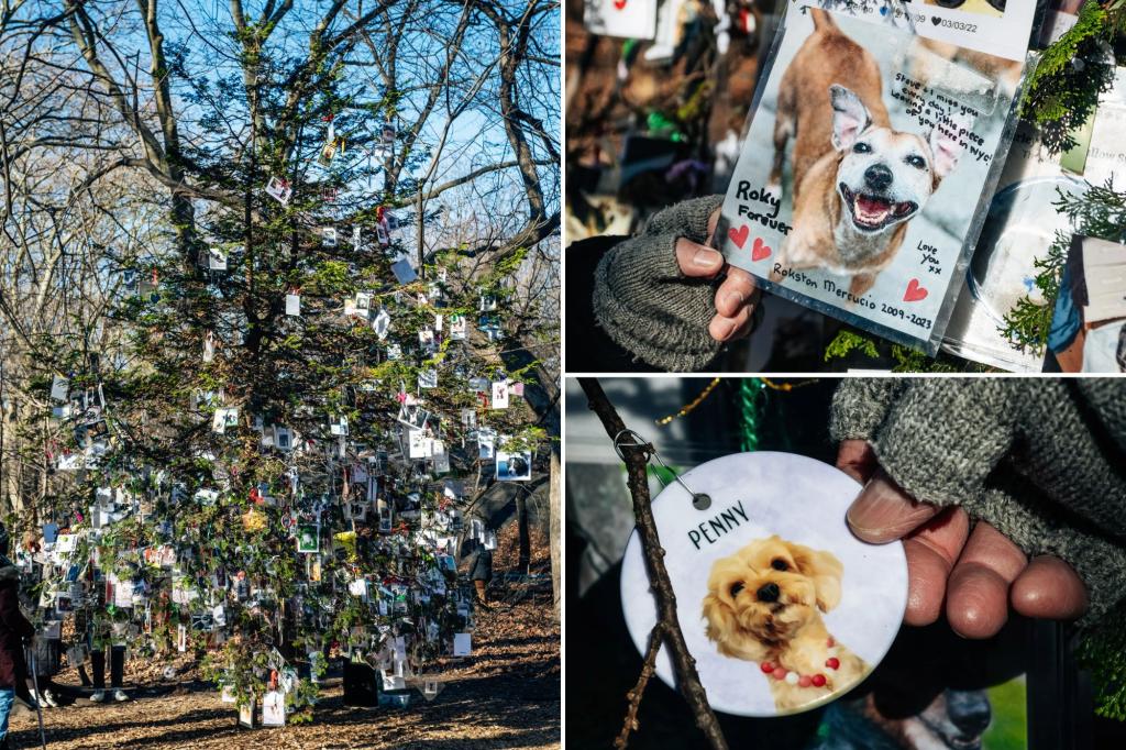 This secret tree in Central Park honors hundreds of beloved NYC pets